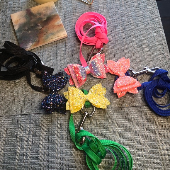 #14 🐾 Dog Leash and Detachable Bow Set in Sparkles 🐾 - Picture 8 of 16